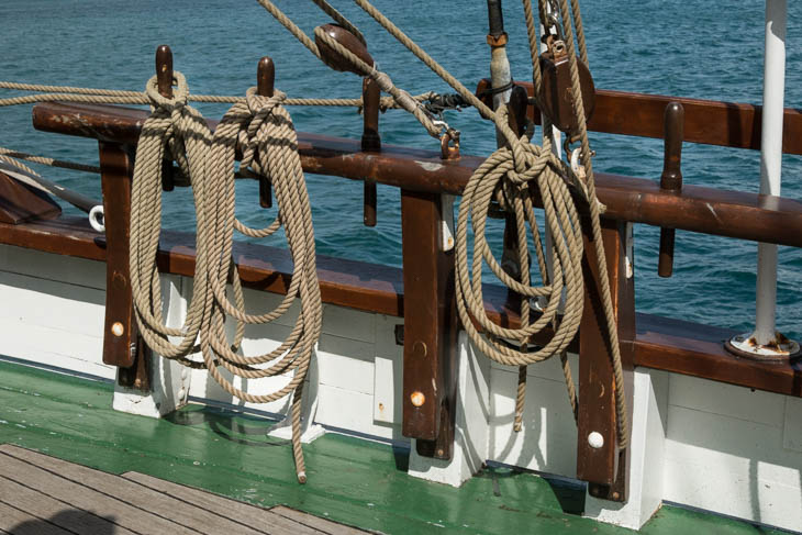 Whalwatching - Reling auf dem alten Segelboot