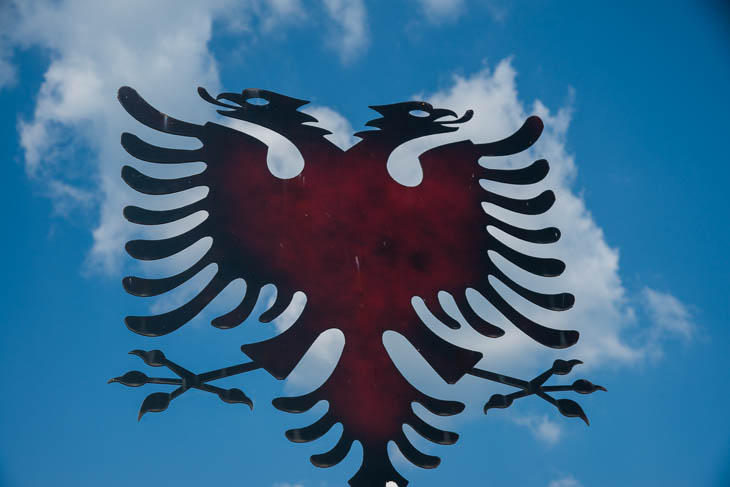Der albanische Doppeladler