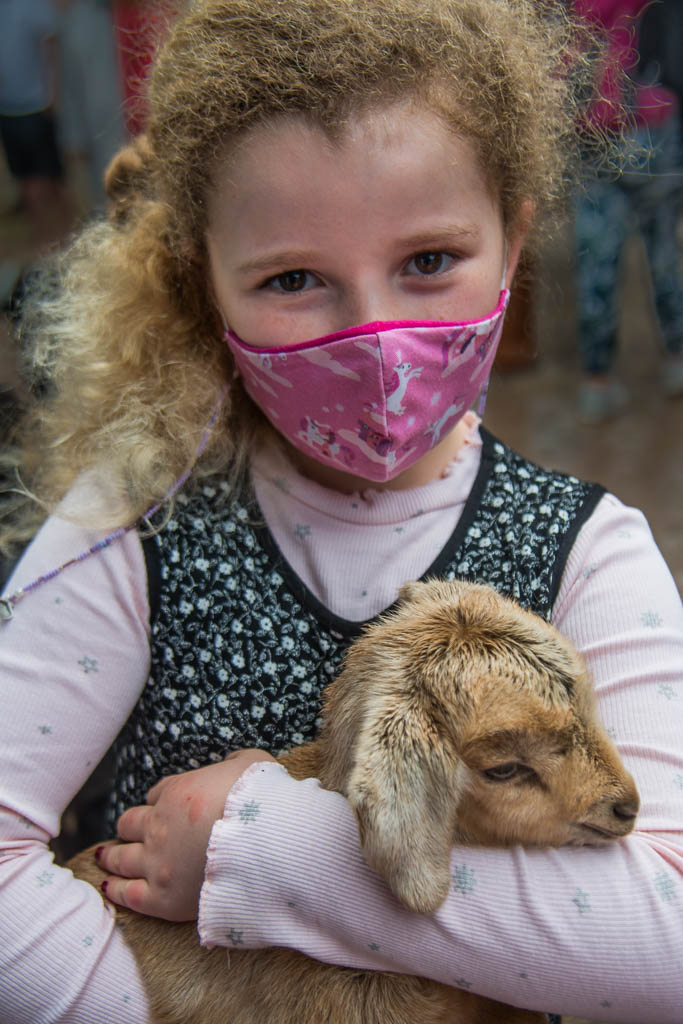 Isabella mit Zicklein in Nizwa