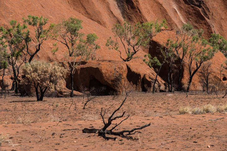 Am Ayers Rock / Uluru