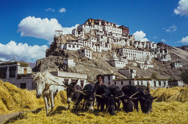 Indien: Kaschmir &, Ladakh