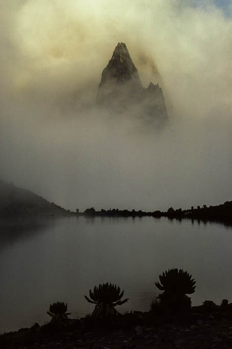 Ostafrika: Kibo & Mt. Kenya